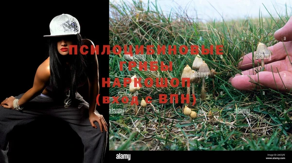 крисы Тутаев