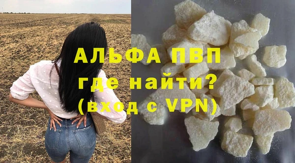 дживик Туринск