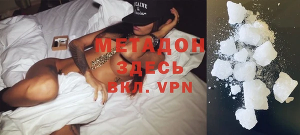 дживик Туринск