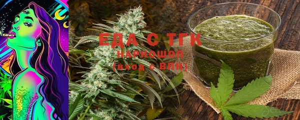 дживик Туринск