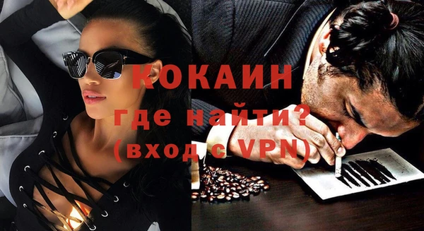 дживик Туринск