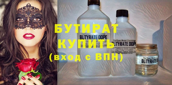 дживик Туринск