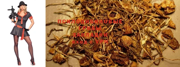 дживик Туринск