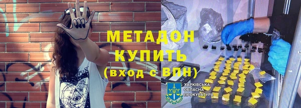 дживик Туринск