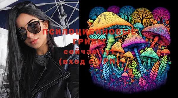 крисы Тутаев