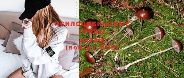 дживик Туринск