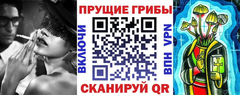 Купить где  Курск  Псилоцибиновые грибы GOLDEN TEACHER 